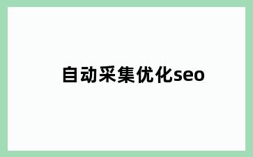 自动采集优化seo