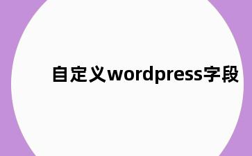 自定义wordpress字段