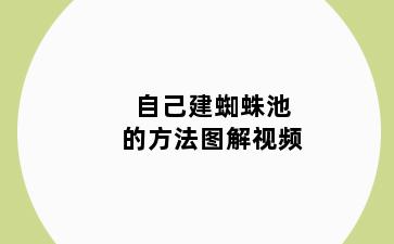 自己建蜘蛛池的方法图解视频