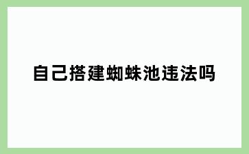 自己搭建蜘蛛池违法吗