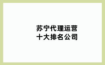 苏宁代理运营十大排名公司