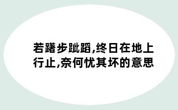 若躇步跐蹈,终日在地上行止,奈何忧其坏的意思