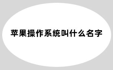 苹果操作系统叫什么名字