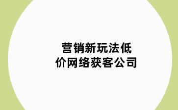 营销新玩法低价网络获客公司