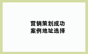 营销策划成功案例地址选择