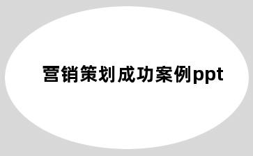 营销策划成功案例ppt