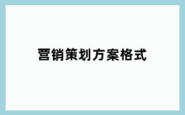 营销策划方案格式