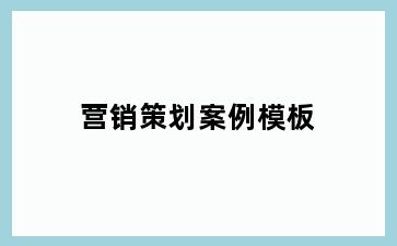 营销策划案例模板