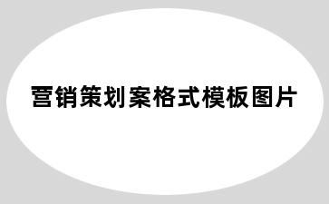 营销策划案格式模板图片