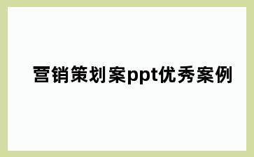 营销策划案ppt优秀案例