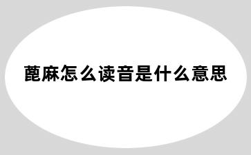 蓖麻怎么读音是什么意思