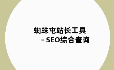 蜘蛛屯站长工具 - SEO综合查询