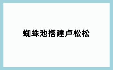 蜘蛛池搭建卢松松