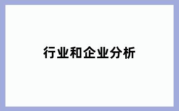 行业和企业分析