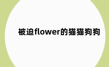 被迫flower的猫猫狗狗