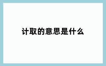 计取的意思是什么