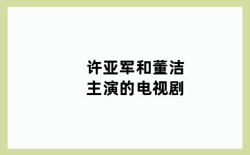 许亚军和董洁主演的电视剧