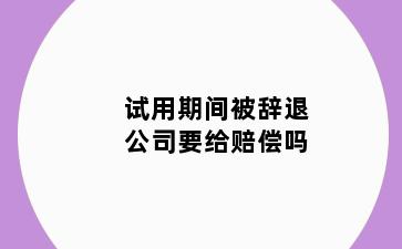 试用期间被辞退公司要给赔偿吗