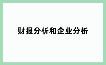 财报分析和企业分析