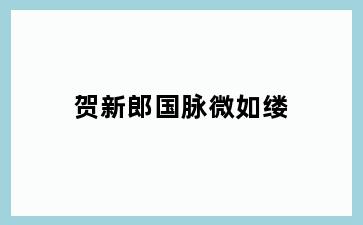 贺新郎国脉微如缕