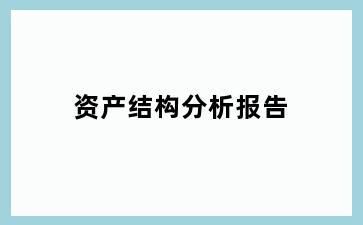 资产结构分析报告