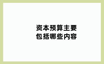 资本预算主要包括哪些内容