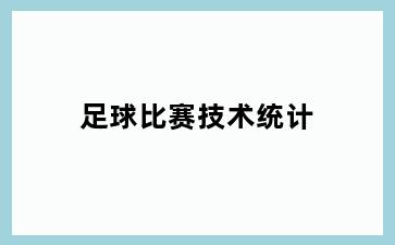 足球比赛技术统计