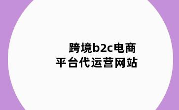 跨境b2c电商平台代运营网站