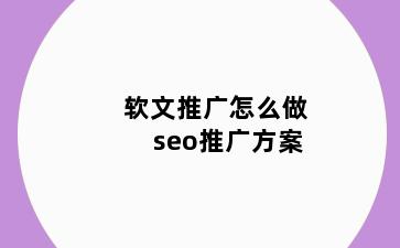 软文推广怎么做seo推广方案