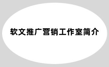 软文推广营销工作室简介