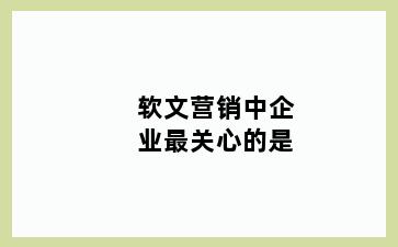 软文营销中企业最关心的是