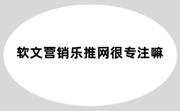 软文营销乐推网很专注嘛