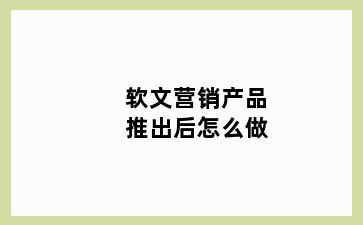 软文营销产品推出后怎么做