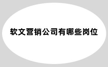 软文营销公司有哪些岗位