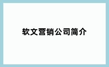 软文营销公司简介