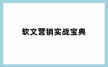 软文营销实战宝典