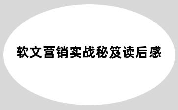 软文营销实战秘笈读后感