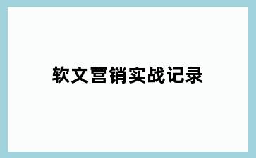 软文营销实战记录