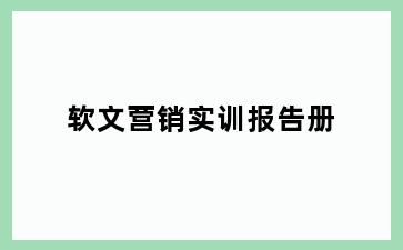 软文营销实训报告册