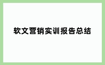 软文营销实训报告总结