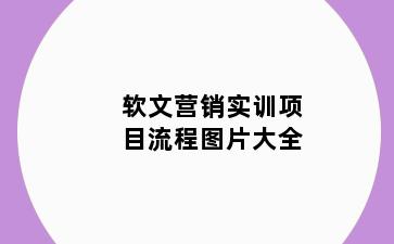 软文营销实训项目流程图片大全