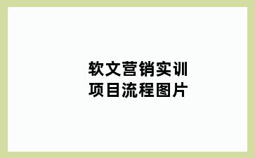 软文营销实训项目流程图片