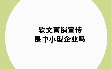 软文营销宣传是中小型企业吗