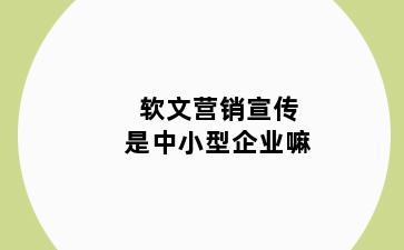 软文营销宣传是中小型企业嘛