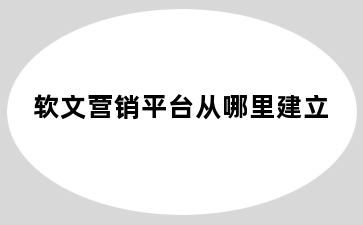 软文营销平台从哪里建立