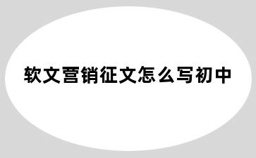 软文营销征文怎么写初中