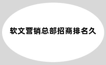 软文营销总部招商排名久