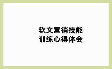 软文营销技能训练心得体会