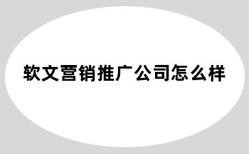 软文营销推广公司怎么样