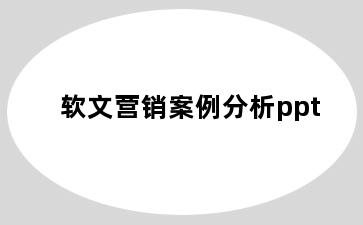 软文营销案例分析ppt